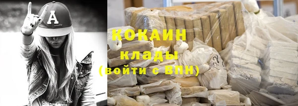хмурый Арсеньев