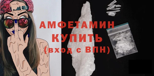 шишки Аркадак