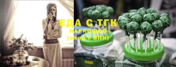 шишки Сатка