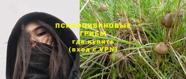 шишки Аркадак