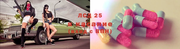 хмурый Арсеньев