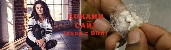 шишки Аркадак