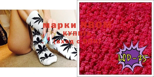 хмурый Арсеньев