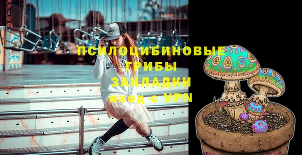 шишки Аркадак