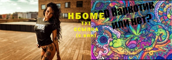 шишки Аркадак