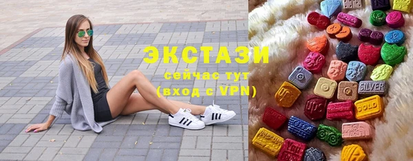 шишки Сатка