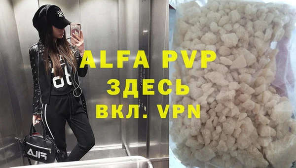 шишки Аркадак