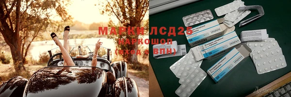 хмурый Арсеньев