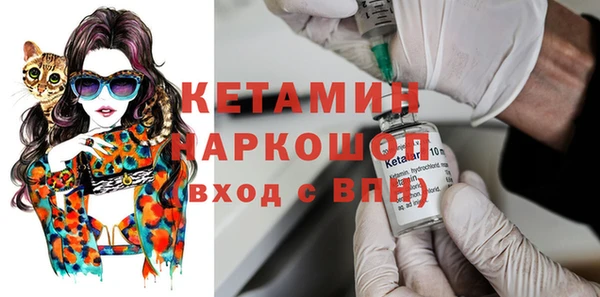шишки Аркадак