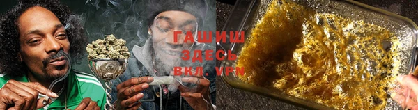 шишки Аркадак