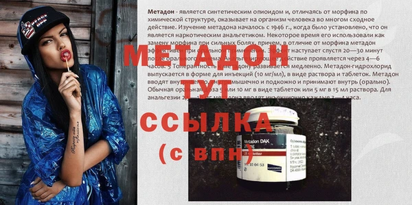 шишки Аркадак