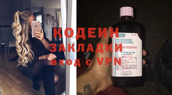 хмурый Арсеньев