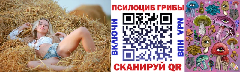 Псилоцибиновые грибы мухоморы  хочу наркоту  Жигулёвск 